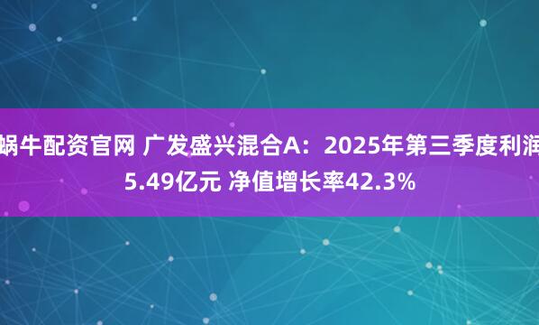 蜗牛配资官网 广发盛兴混合A：2025年第三季度利润5.49亿元 净值增长率42.3%