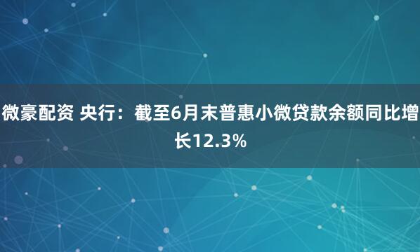 微豪配资 央行：截至6月末普惠小微贷款余额同比增长12.3%
