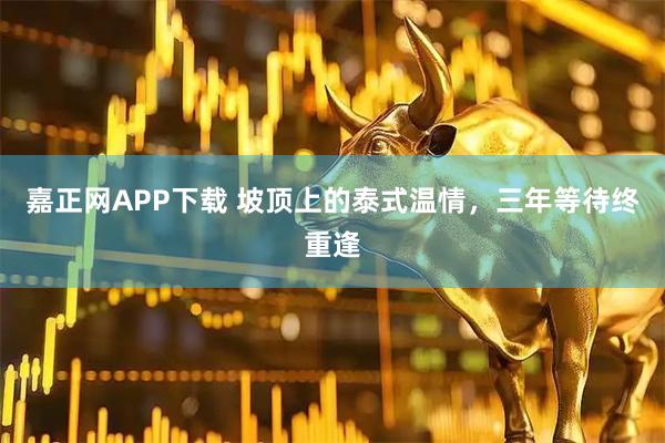 嘉正网APP下载 坡顶上的泰式温情，三年等待终重逢