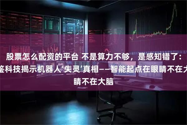 股票怎么配资的平台 不是算力不够，是感知错了：光鉴科技揭示机器人‘失灵’真相——智能起点在眼睛不在大脑